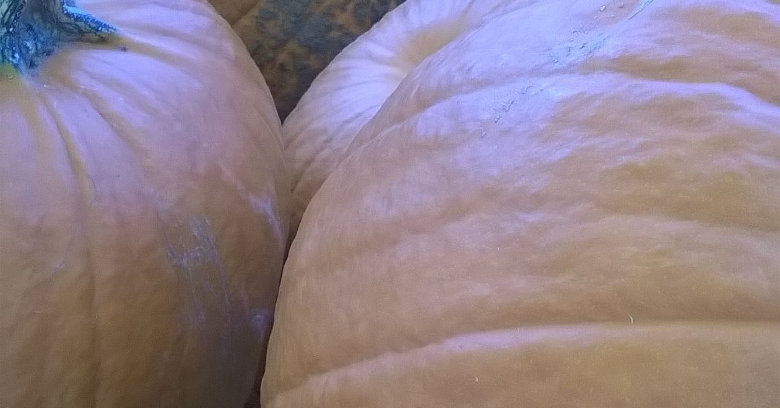 9 خطوات للعيش حياة أكتوبر