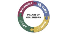 أهمية الطب Healthspan: كيف تعزز صحتك وطول عمرك