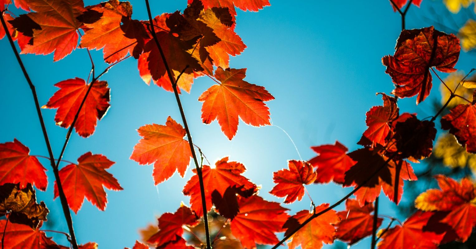 الحزن وتغيير الفصول