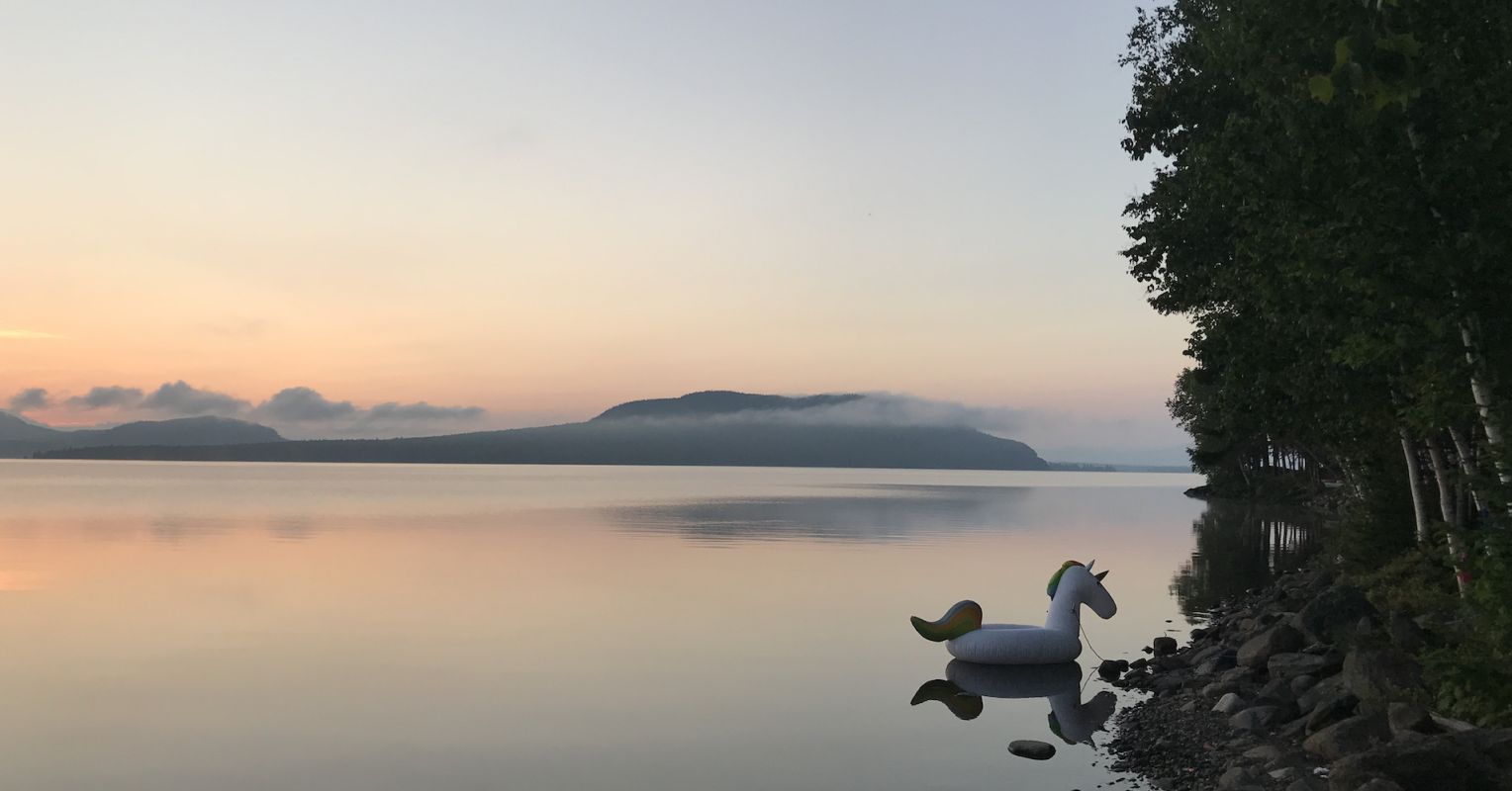 تجربة مع حياة الوجود