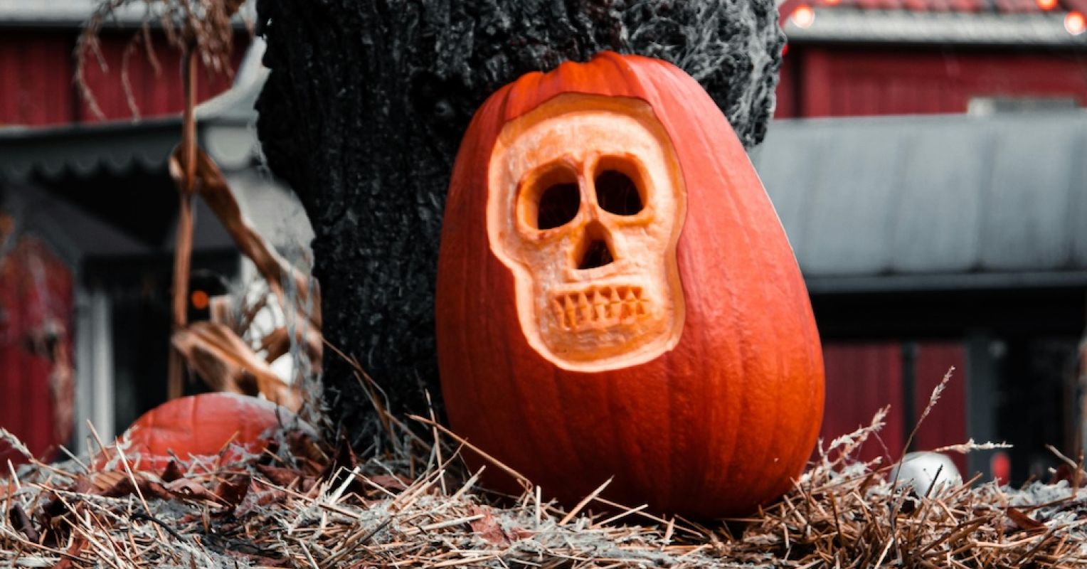 هل العلاج أو العلاج سؤال مرح أم استعارة للحياة؟