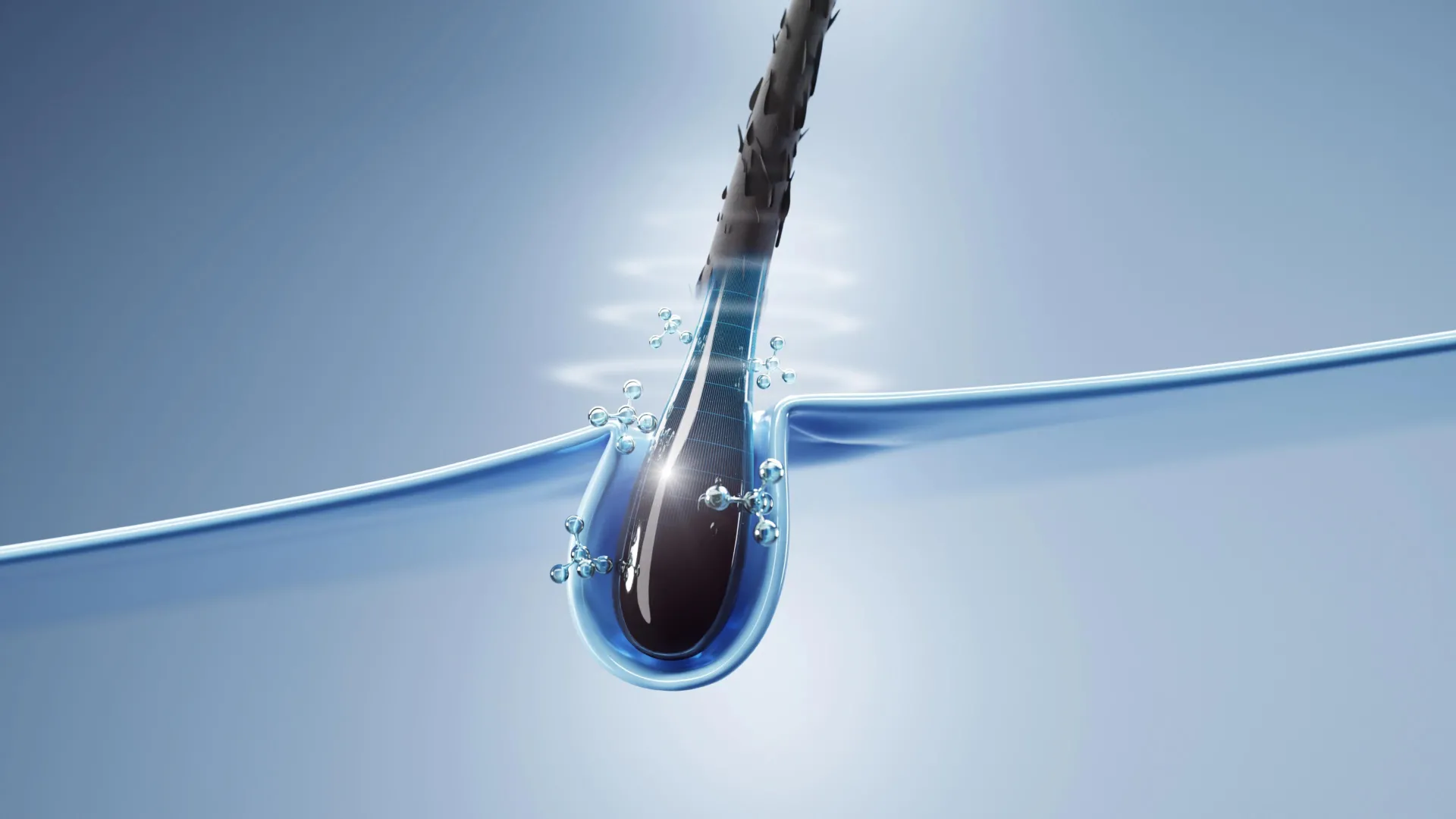 اكتشف العلماء كيف يمكن لخلايا الشعر أن تساعد في شفاء الجلد بشكل أسرع