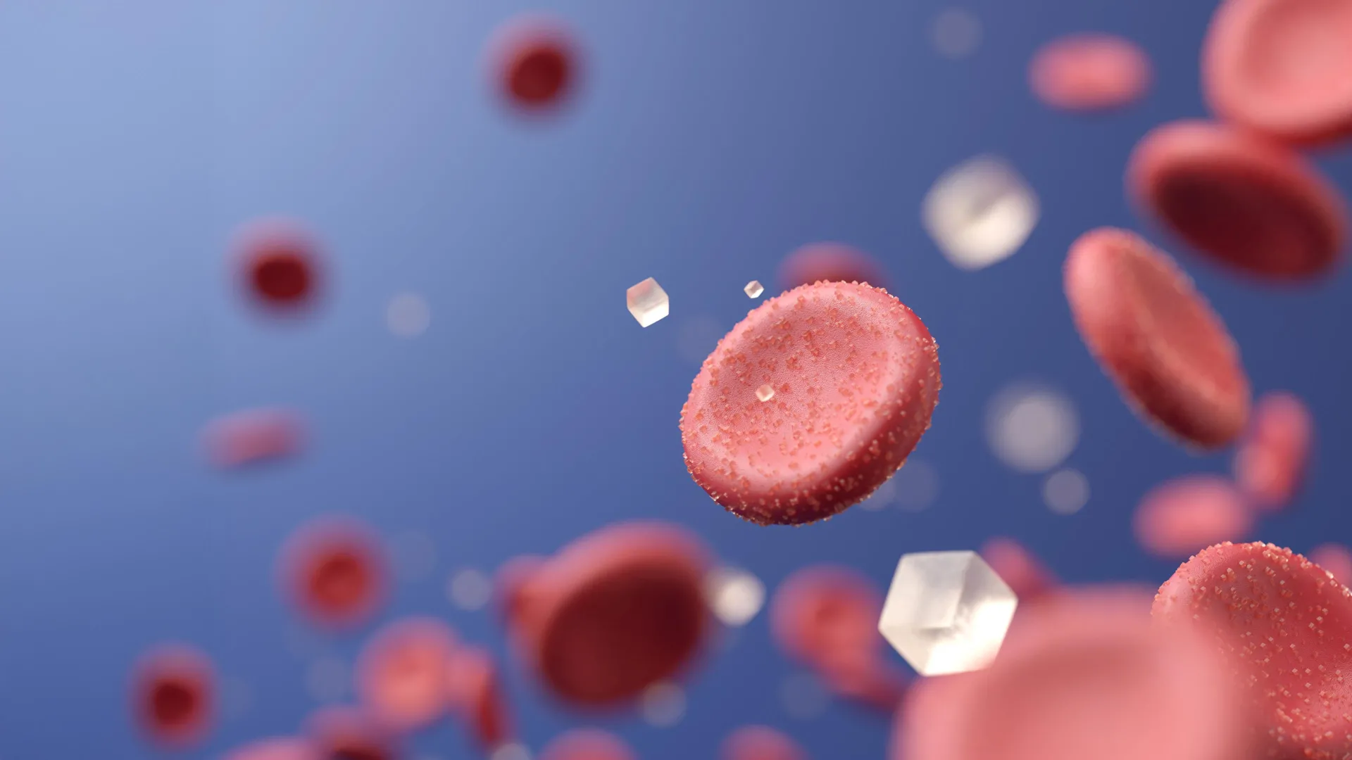 التوت الصحراوي النادر يمكن أن يغير علاج مرض السكري