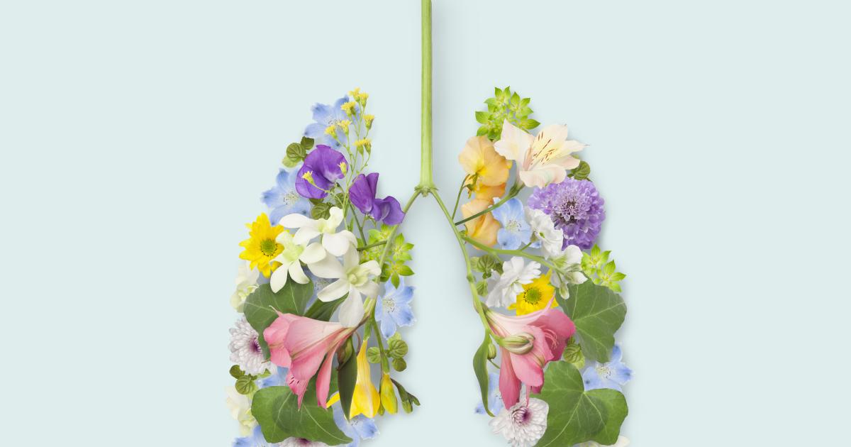 النظام الغذائي الغني بالفواكه يحمي صحة الرئتين من التلوث الهوائي