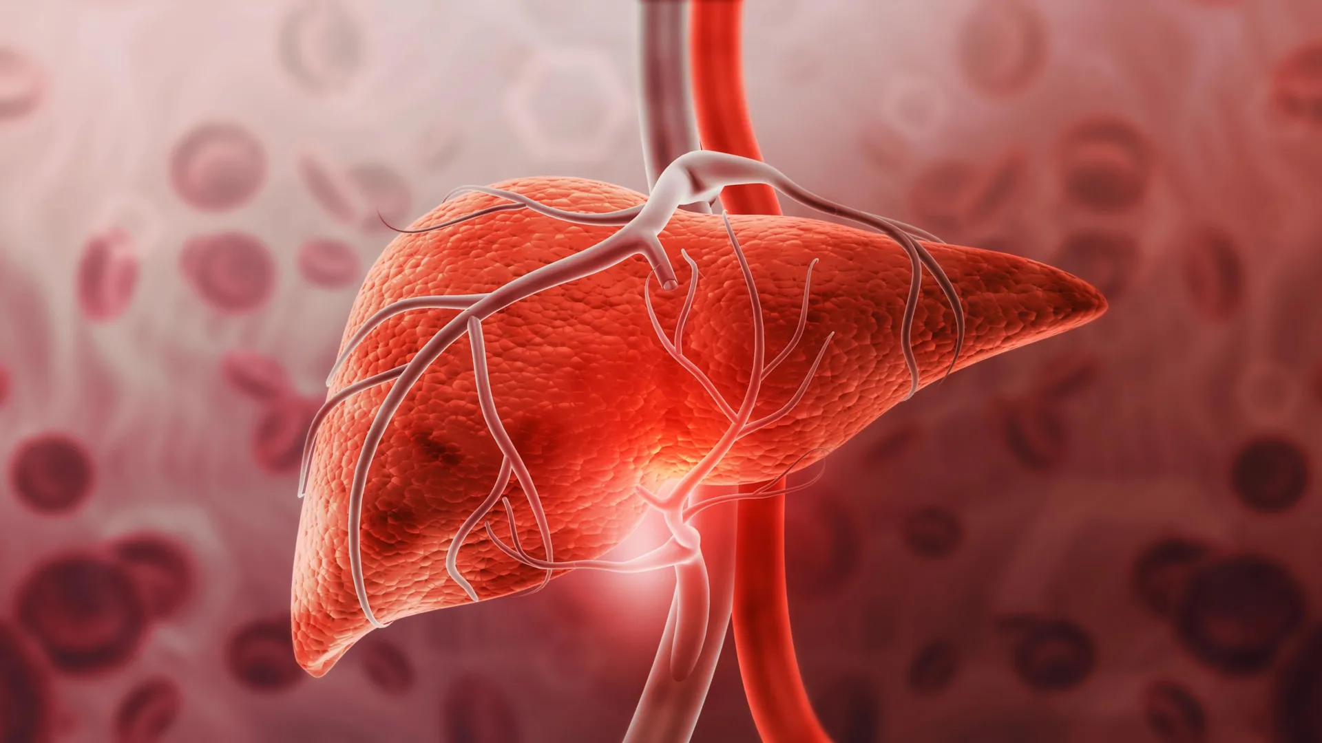 توصلت الدراسة إلى أن السموم المنزلية المخفية تزيد من خطر الإصابة بأمراض الكبد ثلاث مرات