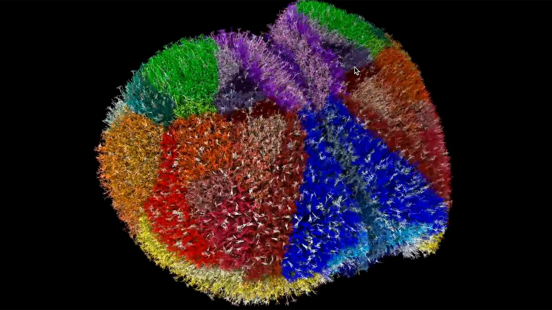 يقوم الكمبيوتر العملاق بإنشاء الدماغ الافتراضي الأكثر واقعية على الإطلاق