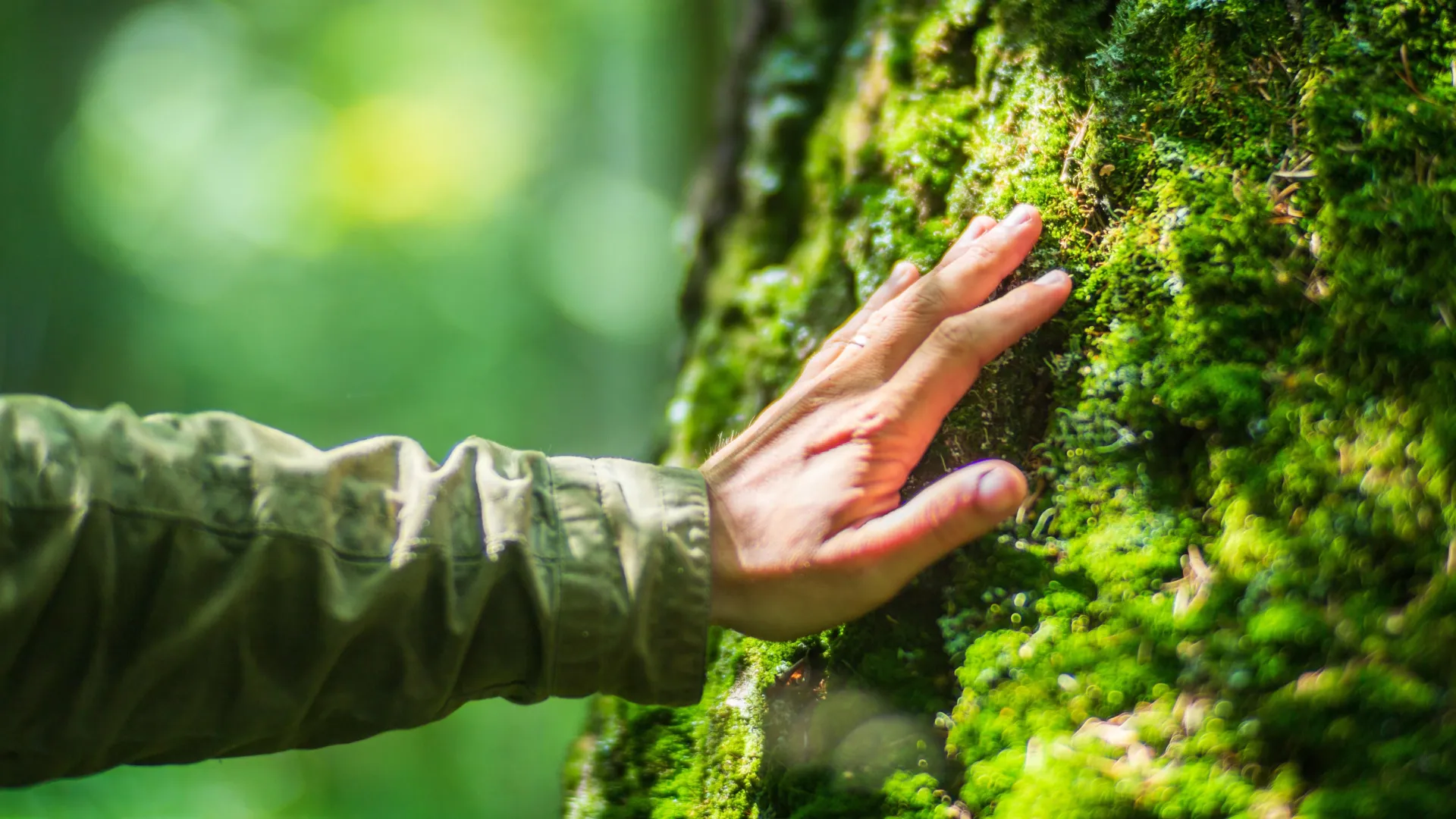 البشر مخلوقون للطبيعة وليس للحياة الحديثة