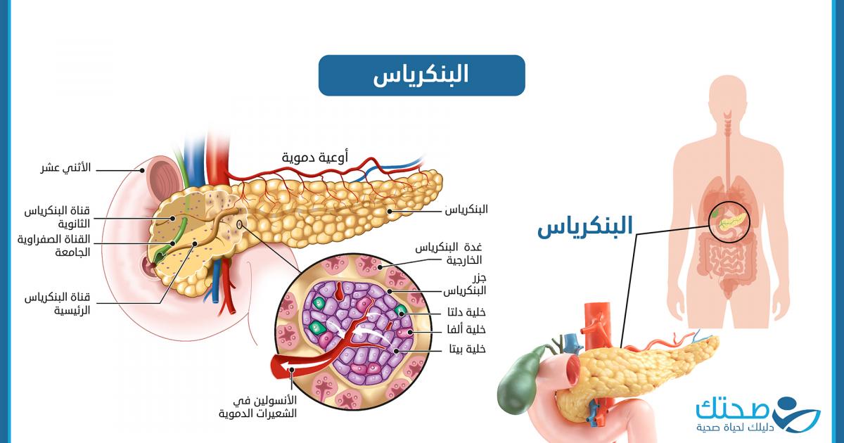 السكري من النوع الثالث … عندما يكون الخلل في البنكرياس نفسه