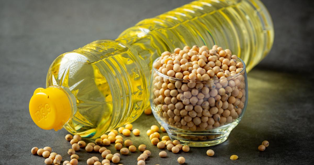 زيت فول الصويا قد يساهم في الإصابة بالسمنة