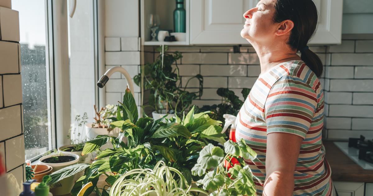 فوائد التنفس العميق: لماذا قد يغيِّر نفسٌ واحد يومَك؟