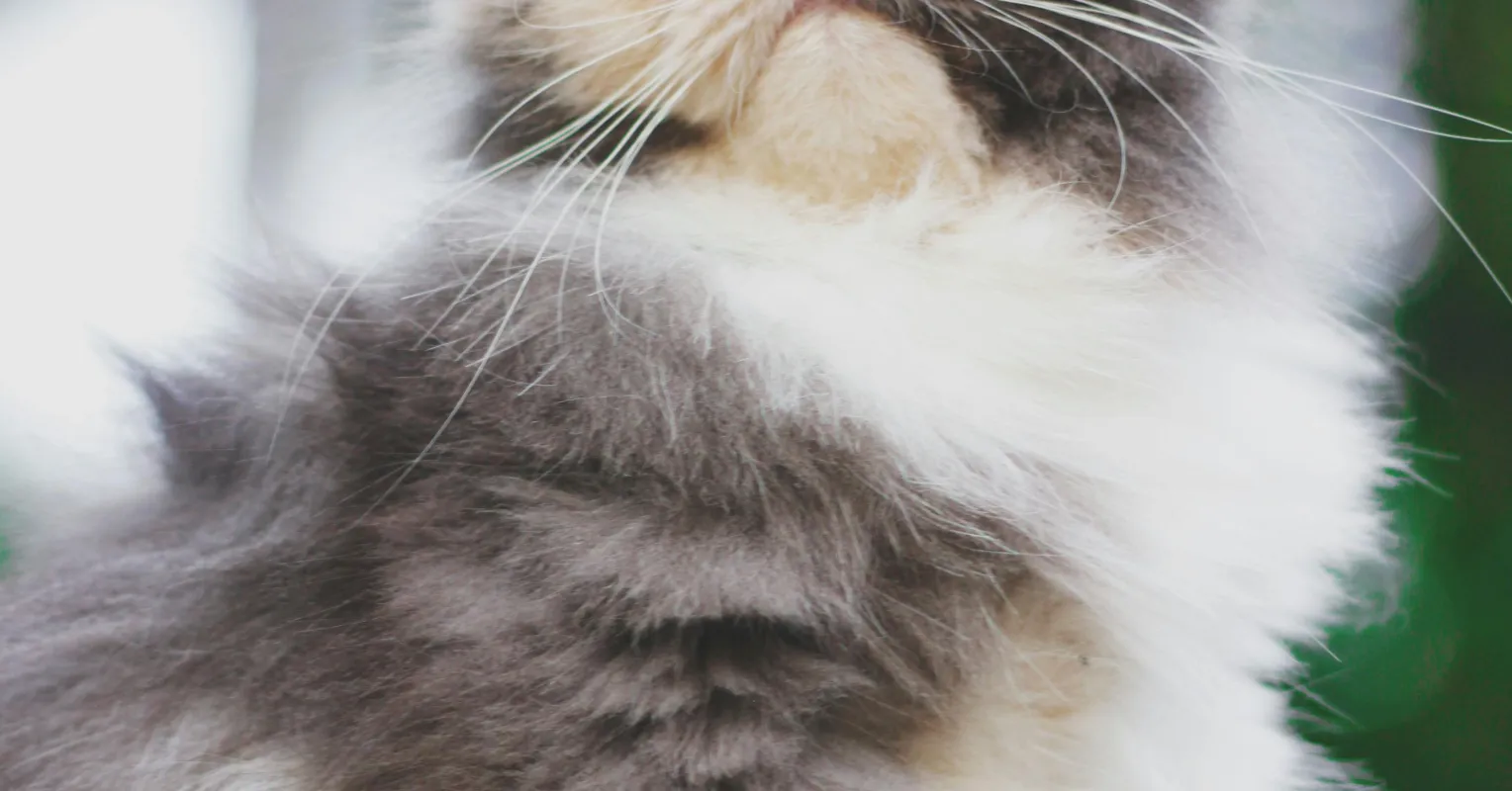 كيف تلعبها بشكل رائع أثناء المواعدة