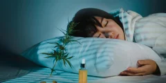 استخدام الحشيش للنوم بين الشباب: المخاطر والتحذيرات