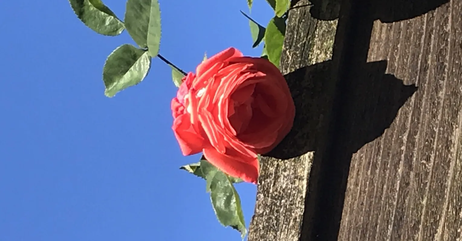 تحدي الكمالية من خلال ممارسة التعاطف مع الذات