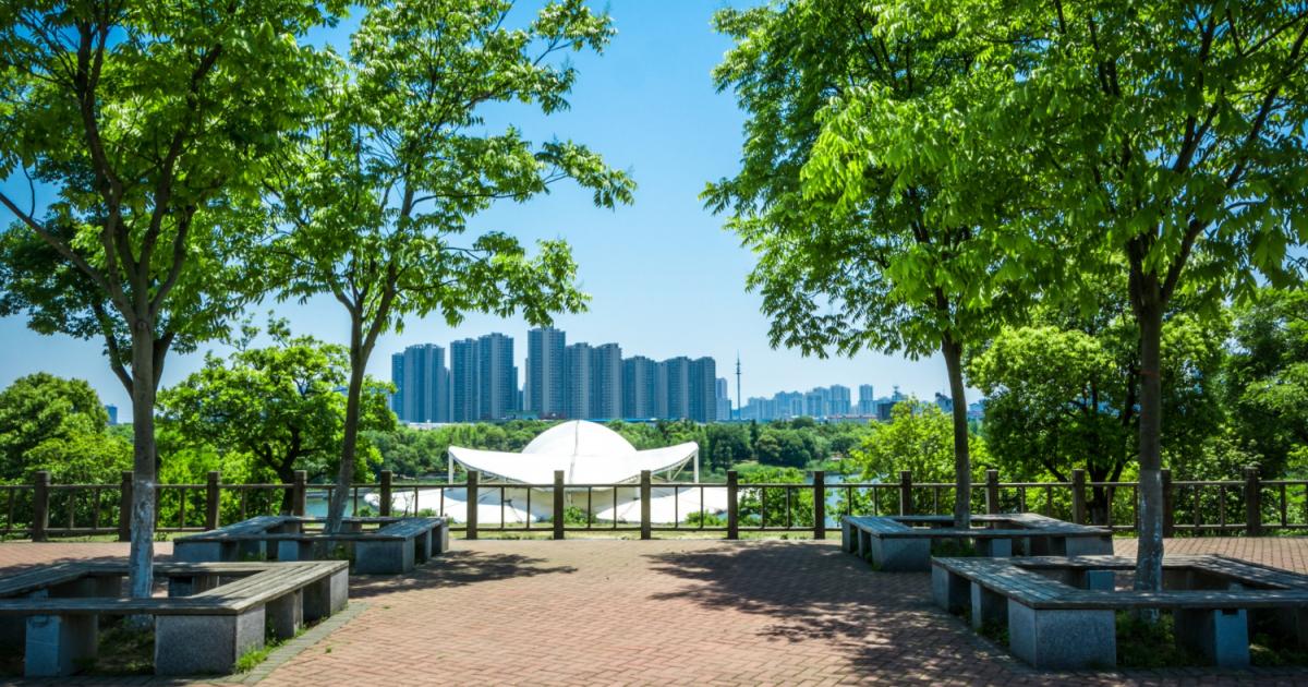 فوائد نظرية استعادة الانتباه للصحة: إحياء العقل في الطبيعية