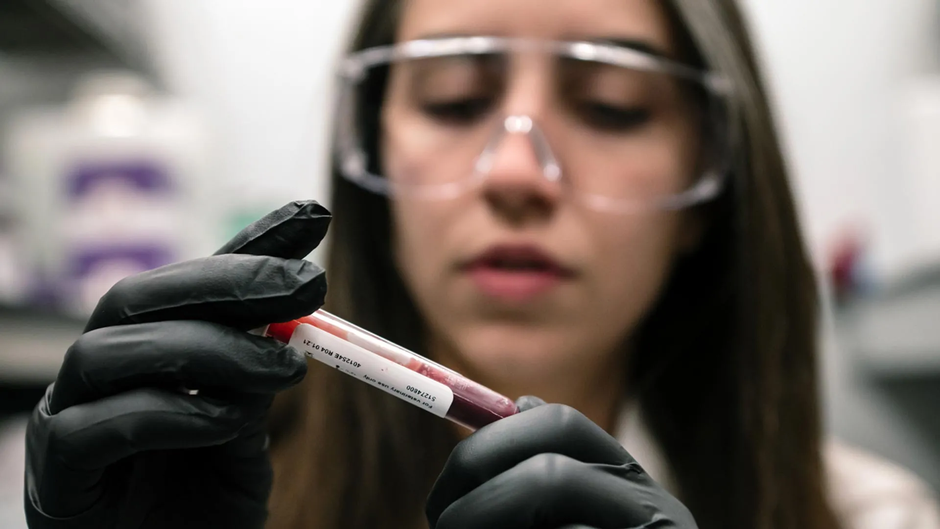 العلماء يكتشفون لماذا يحمي الارتفاع العالي من مرض السكري