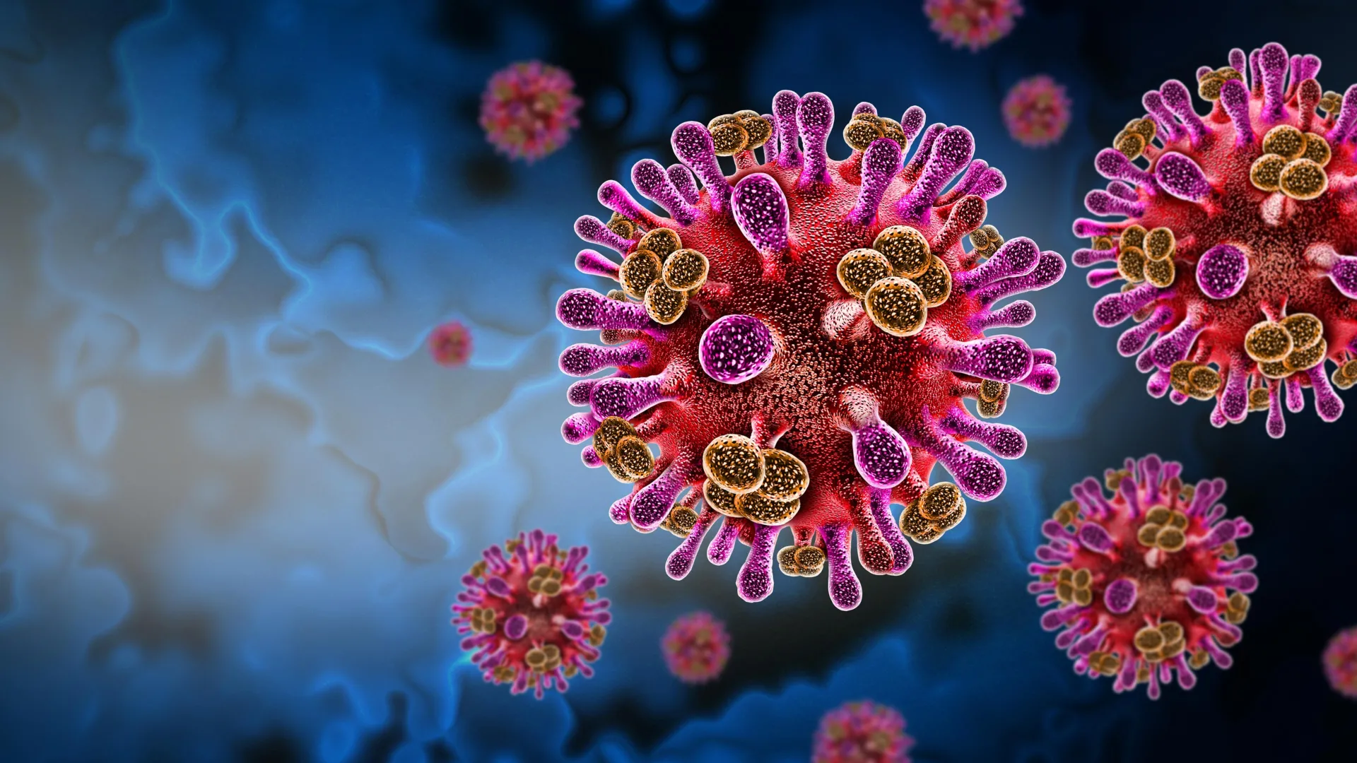 فيروس الخفافيش المخفي يصيب البشر