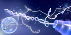 اكتشاف جديد يغير فهمنا للحمض النووي