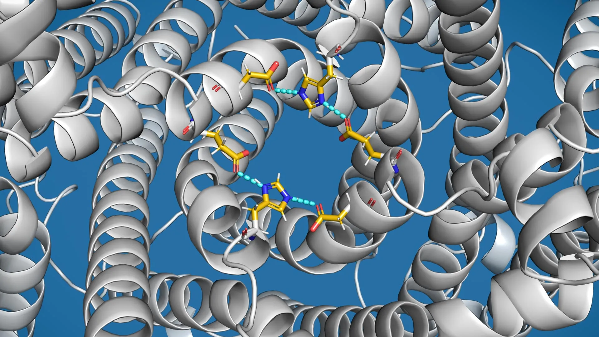اكتشف العلماء “صمام الفائض” في الخلايا المرتبطة بمرض باركنسون