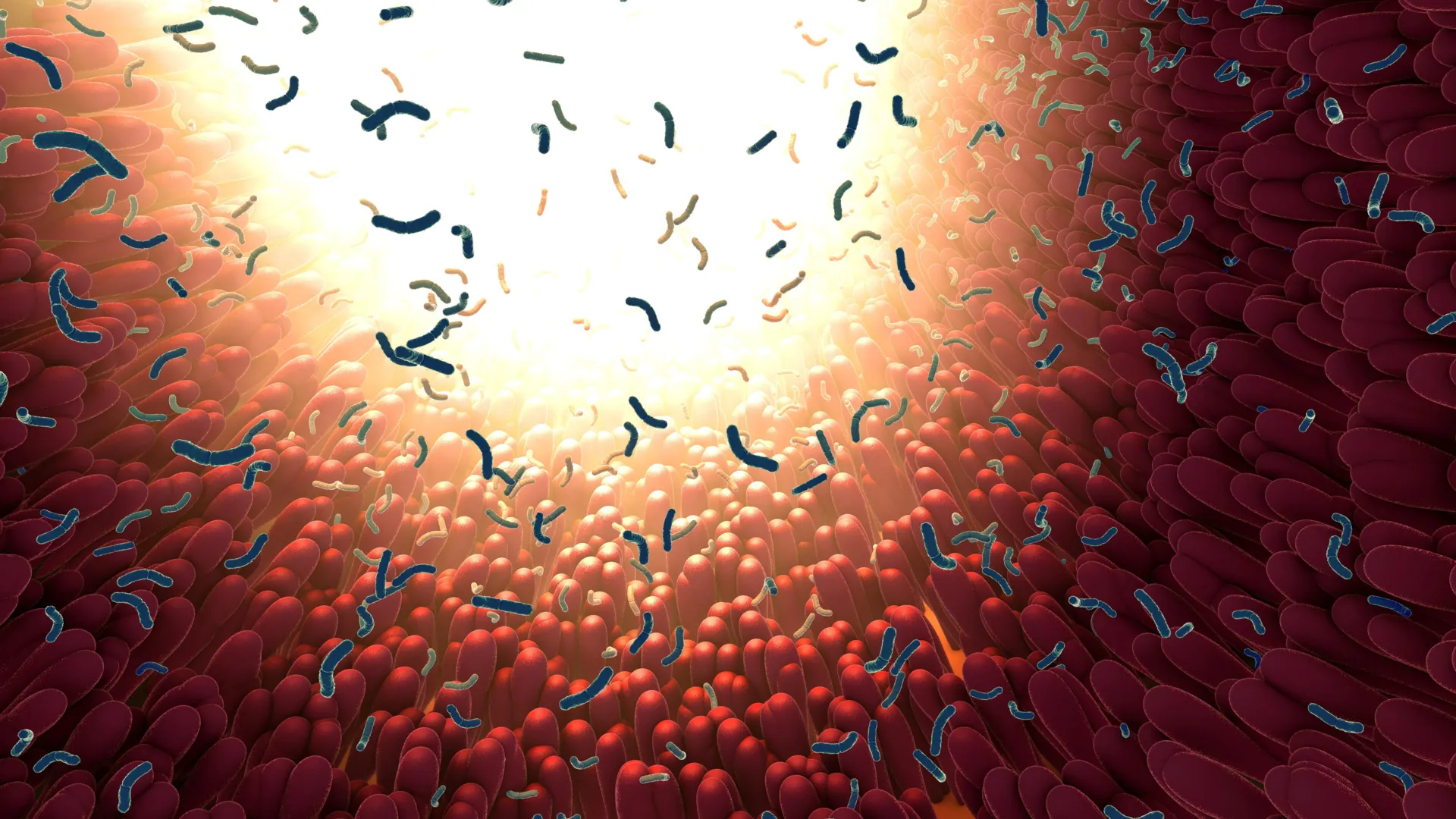 اكتشف علماء معهد ماساتشوستس للتكنولوجيا بروتين الأمعاء الذي يحبس البكتيريا الخطيرة ويقتلها