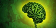 دراسة تكشف عدم فعالية الحشيش في علاج القلق والاكتئاب