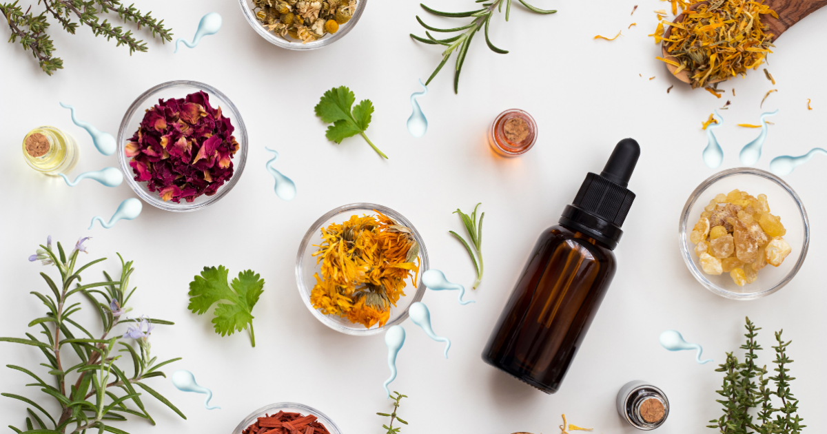 أعشاب لزيادة الحيوانات المنوية وتحسين الخصوبة عند الرجال