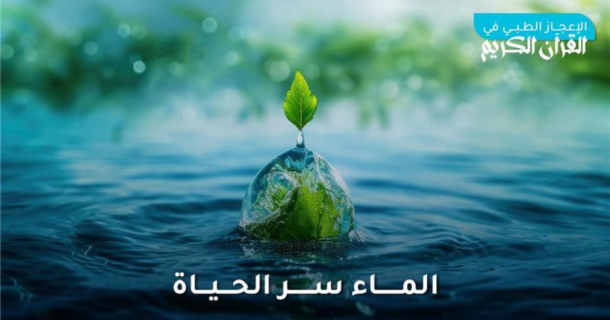 الماء سر الحياة بين الإعجاز القرآني والحقائق الطبية الحديثة