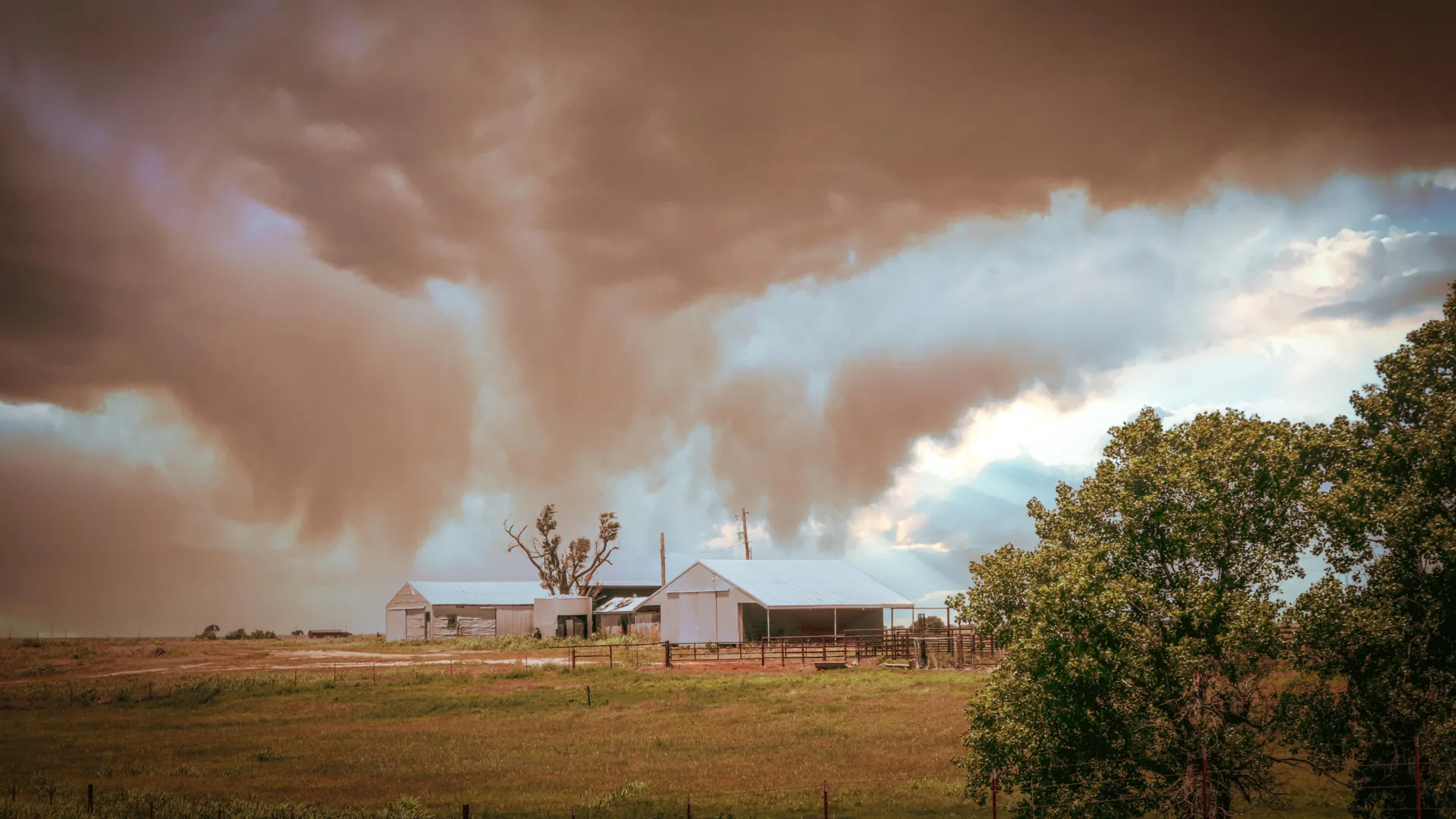 تم اكتشاف سموم غير عادية محمولة جواً في الولايات المتحدة لأول مرة
