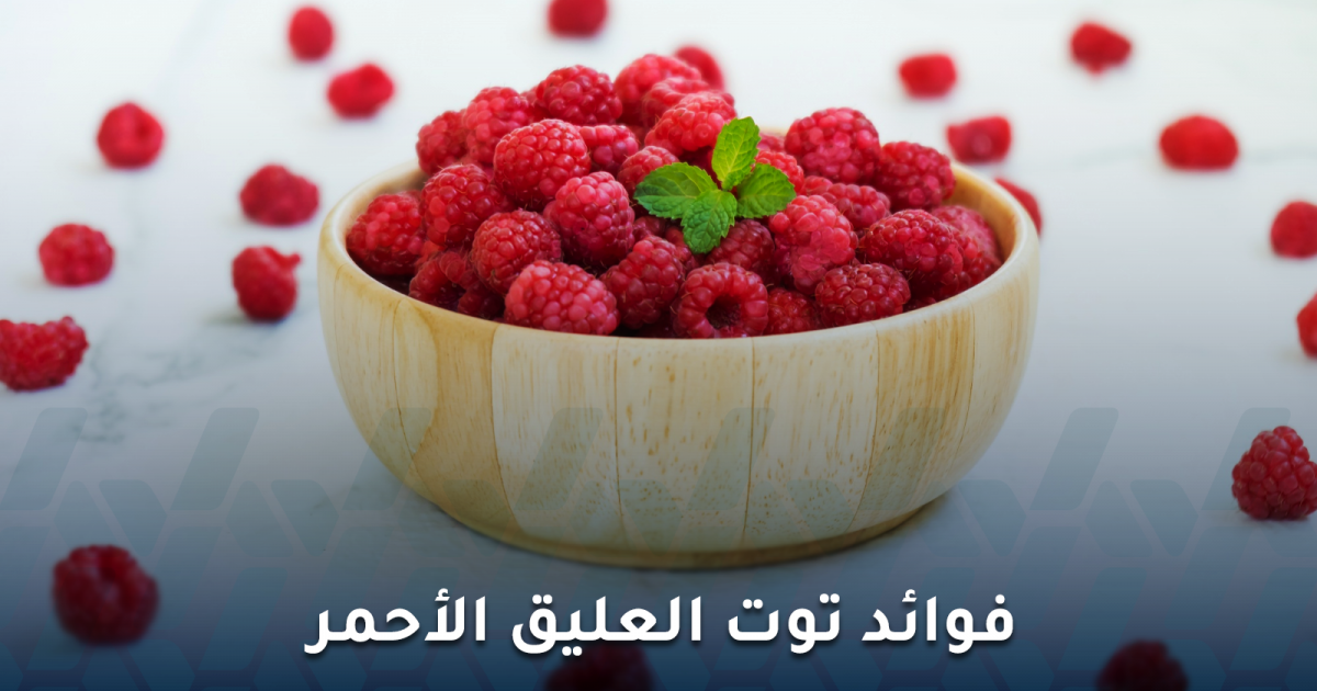 فوائد توت العليق الأحمر: كنز غذائي للقلب والدماغ