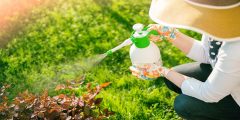 أهم الخضار والفواكه الأقل تلوثًا بالمبيدات | صحتك