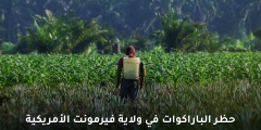 فيرمونت تحظر الباراكوات: الأسباب والتداعيات
