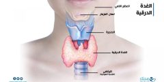 أعراض وأسباب عاصفة الغدة الدرقية: دليل شامل