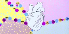 8 مواد حافظة غذائية مرتبطة بارتفاع ضغط الدم وأمراض القلب
