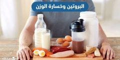أطعمة غنية بالبروتين أكثر من البيض لبناء العضلات