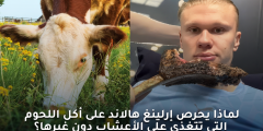النظام الغذائي لإرلينغ هالاند: لماذا تفضل اللحوم العشبية؟