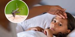 حمى الضنك: الأعراض، الأسباب، العلاج والوقاية