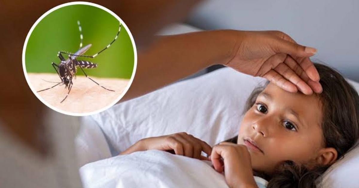 ما هي حمى الضنك وما أعراضها وهل تنتقل العدوى من شخص لآخر؟