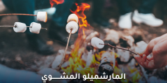 هل المارشميلو المشوي ضار؟ تعرف على المخاطر والفوائد