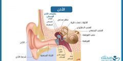اعتلال العصب السمعي: الأعراض، الأسباب، والعلاج