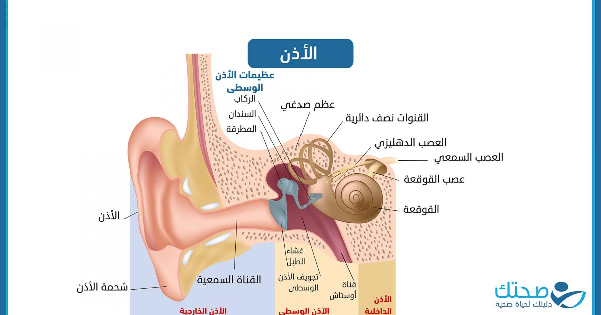 اعتلال العصب السمعي: الأعراض والأسباب وطرق العلاج