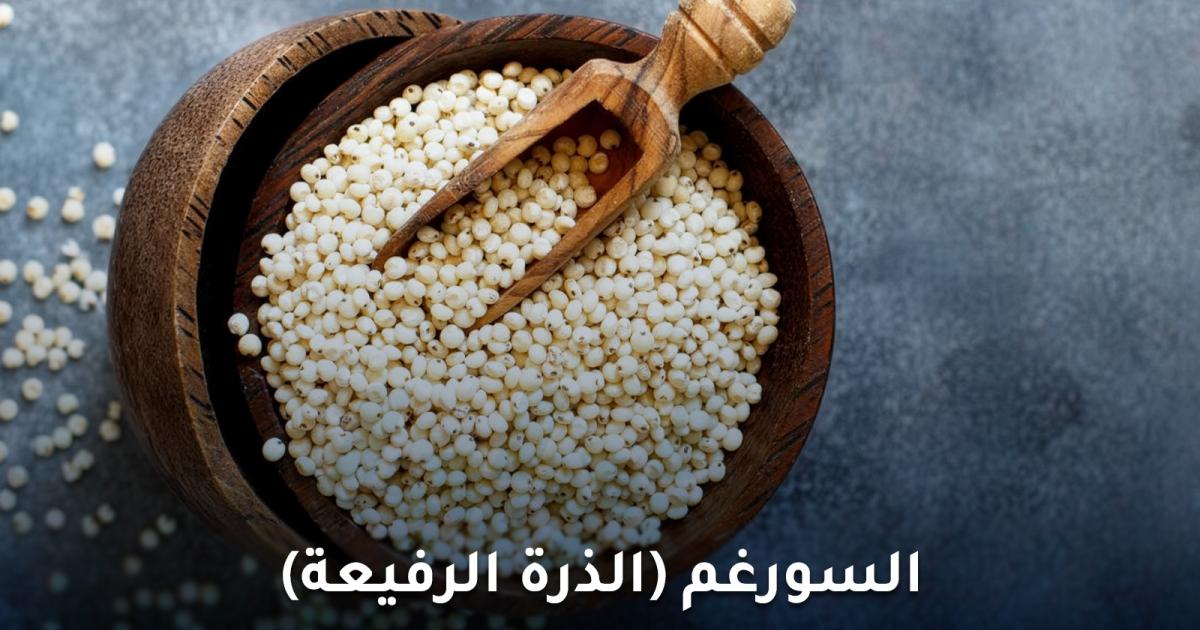 تعرف على أبرز فوائد السورغم للصحة ولمرضى السكري