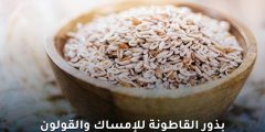 فوائد بذور القاطونة للإمساك والقولون: استخدام آمن وفعال