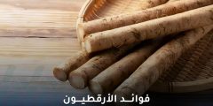 فوائد الأرقطيون لصحة الجلد: أبحاث ودراسات