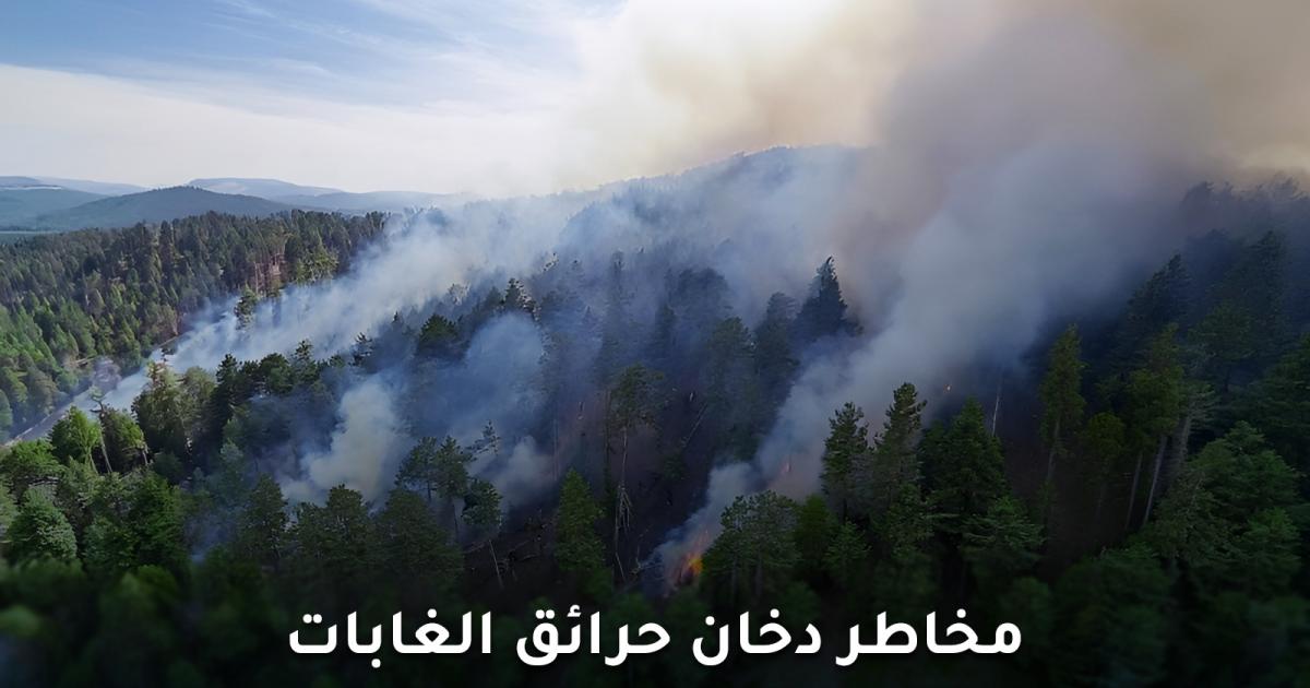 منظمة الصحة العالمية تحذر من مخاطر دخان حرائق الغابات