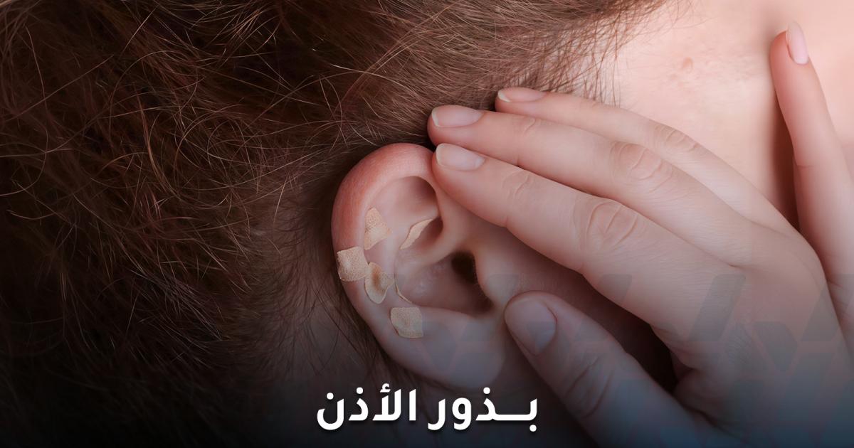 ماهي استخدامات بذور الأذن وهل هي آمنة؟